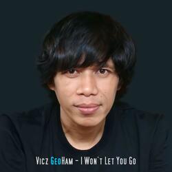 I Won't Let You Go