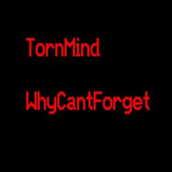 WhyCantForget