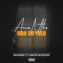 Aona Ntho Yao Se Fele (feat. Flame Boy & Siczo Beat)