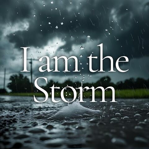 I am the Storm