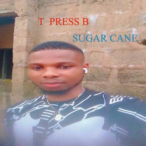 SUGAR CANE