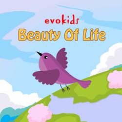 Beauty Of Life