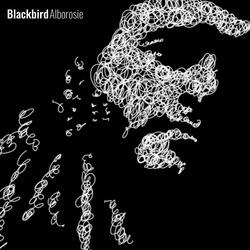 Blackbird