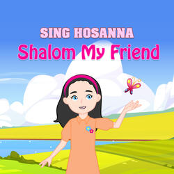 Shalom My Friend