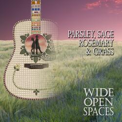 I Am A Rock [Bluegrass - 2024 Mix]