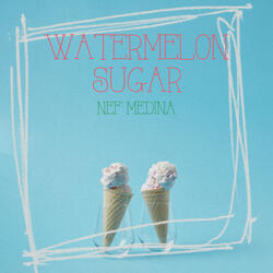 Watermelon Sugar [Acoustic]