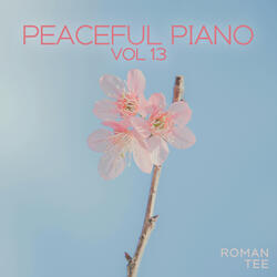Piano Concerto No.21 in C major, K.467: II. Andante [Pure Piano]