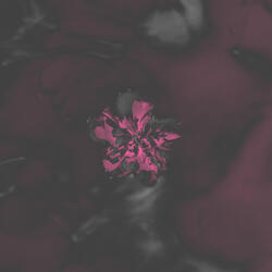 I Don't Want It [Instrumental]