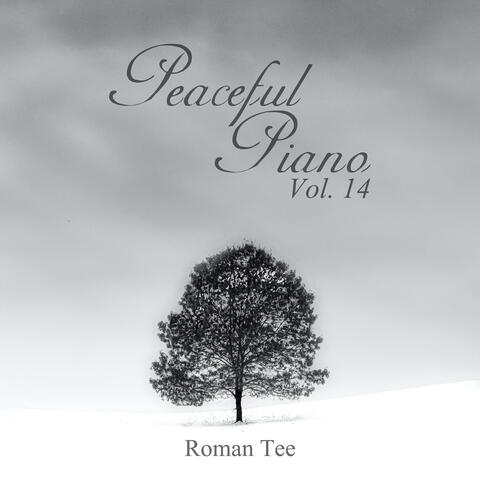 Peaceful Piano Vol.14