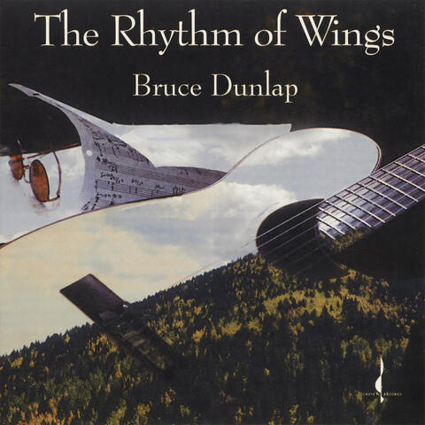 The Rhythm of Wings