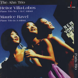 Piano Trio in A minor - Final (Anime)