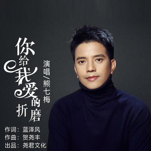 你给我爱的折磨