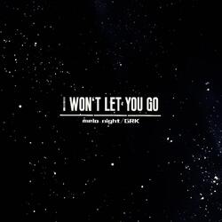 I Won't Let You Go
