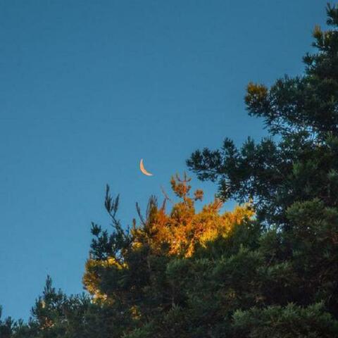 微风夕阳坠落的流星与你