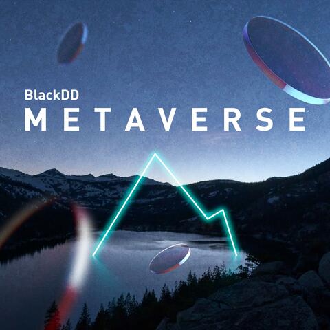 Metaverse