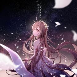 星夜之下