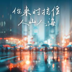 你来时挡住人山人海