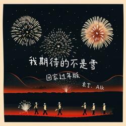 我期待的不是雪