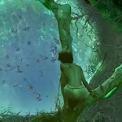 少年派的奇幻夏天