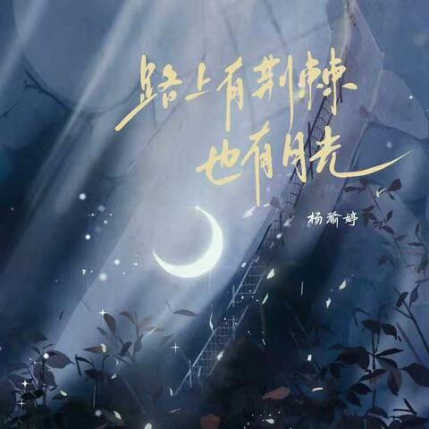 路上有荆棘也有月光