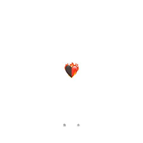 隐迹