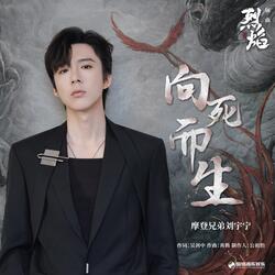 向死而生（《烈焰》影视剧插曲）