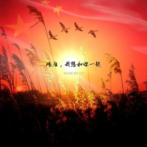 鸿雁，我想和你一起
