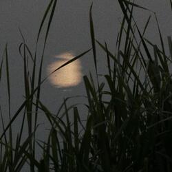 浪漫日落