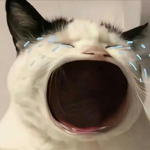 苦咖啡