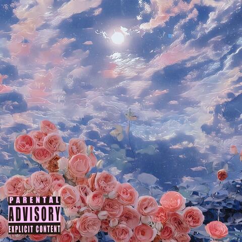梦花海