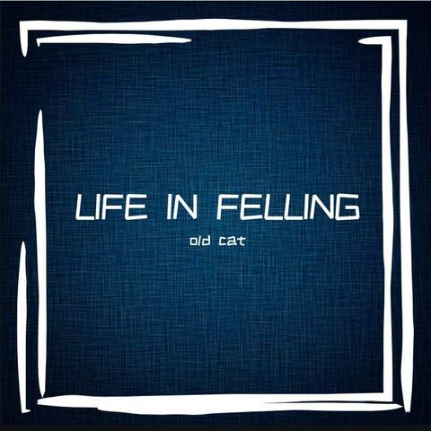 Life in Felling