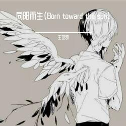 向阳而生