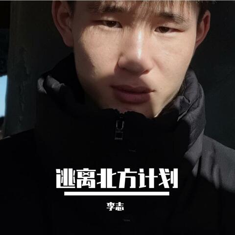 逃离北方计划