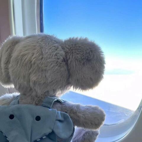着迷