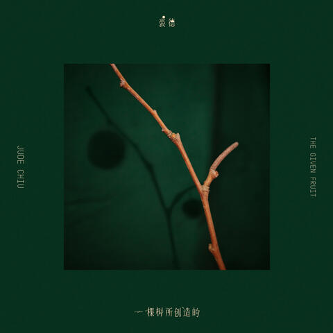 一棵樹所創造的