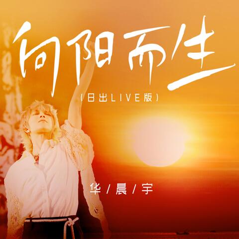 向阳而生