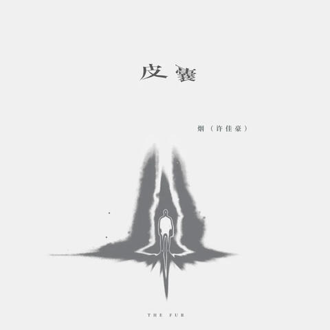 皮囊