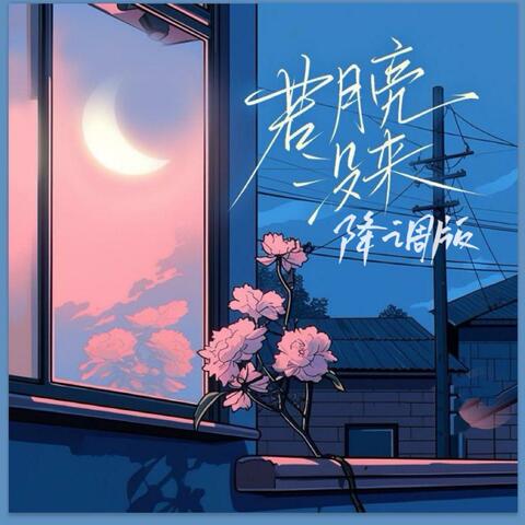 若月亮没来