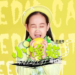 小馋猫