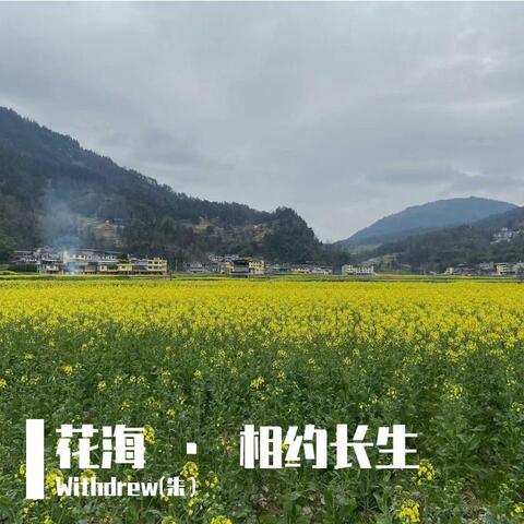 花海 · 相约长生