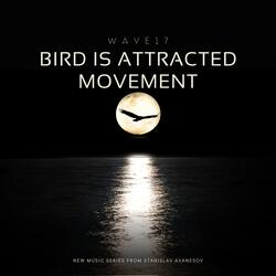 Bird is Attracted Movement