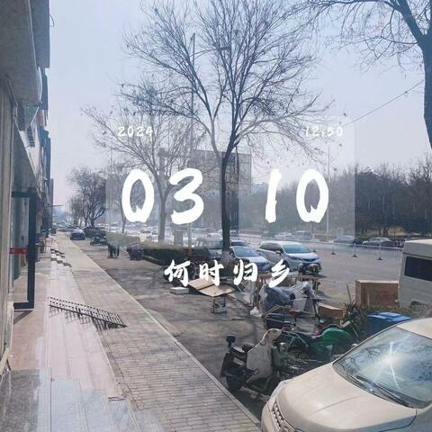 何时归乡
