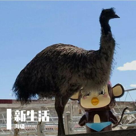 新生活