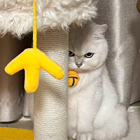 心中的自由