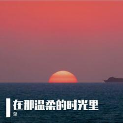 在那温柔的时光里