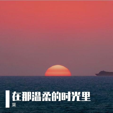 在那温柔的时光里