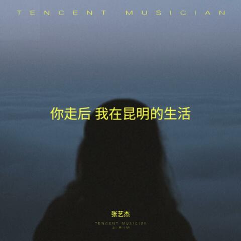 你走后 我在昆明的生活