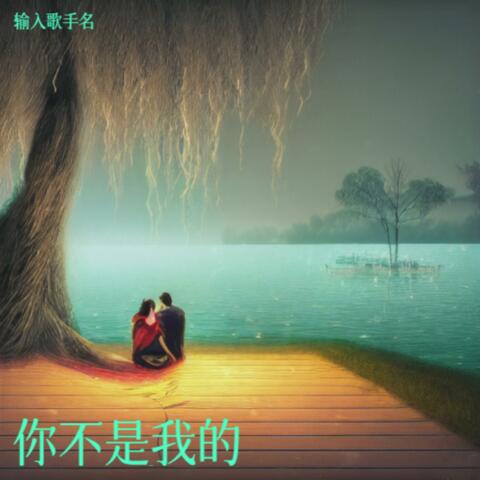 你不是我的