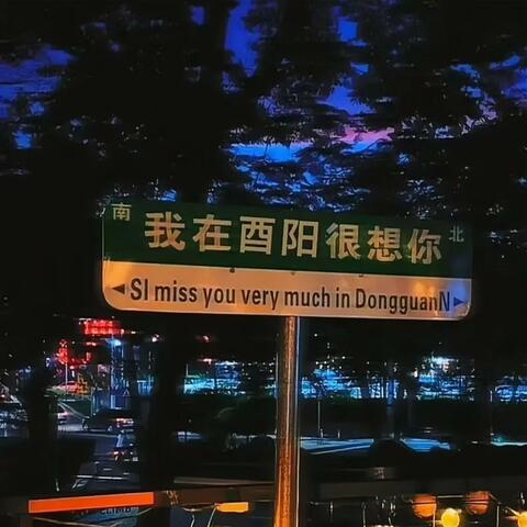 十年人间
