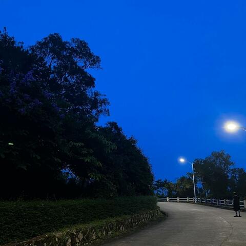 Summer Night